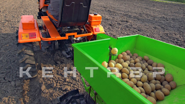 «Минитрактор Кентавр Т-5 LITE 6+2 (Toyokawa) STD agri 5,00-12 / 6,50-16 + (фреза/плуг)» - фото 8