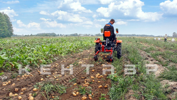 «Минитрактор Кентавр Т-4 LITE 6+2 (Toyokawa) STD agri 5,00-12 / 9,50-16 + (фреза/плуг)» - фото 18