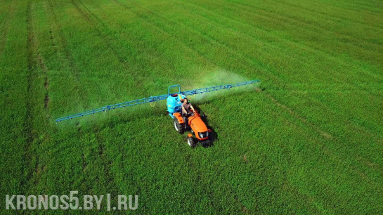 Превью